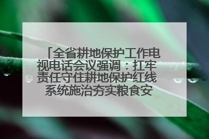全省耕地保护工作电视电话会议强调：扛牢责任守住耕地保护红线 系统施治夯实粮食安全根基 王宁作出批示 王予波出席并讲话