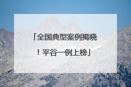 全国典型案例揭晓！平谷一例上榜