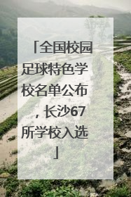 全国校园足球特色学校名单公布，长沙67所学校入选