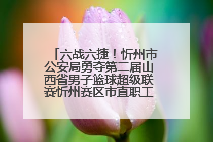 六战六捷！忻州市公安局勇夺第二届山西省男子篮球超级联赛忻州赛区市直职工组比赛冠军
