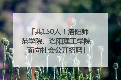 共150人！洛阳师范学院、洛阳理工学院面向社会公开招聘