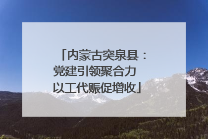 内蒙古突泉县：党建引领聚合力 以工代赈促增收