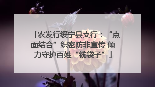 农发行绥宁县支行：“点面结合”织密防非宣传 倾力守护百姓“钱袋子”