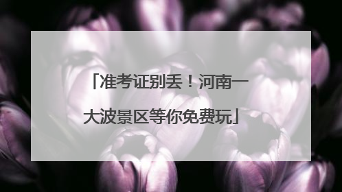 准考证别丢!河南一大波景区等你免费玩