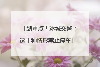 划重点！冰城交警：这十种情形禁止停车