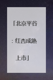 北京平谷：红杏成熟上市