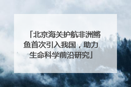 北京海关护航非洲鳉鱼首次引入我国，助力生命科学前沿研究