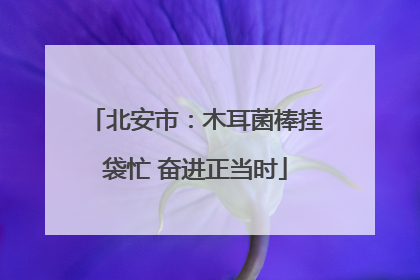 北安市：木耳菌棒挂袋忙 奋进正当时