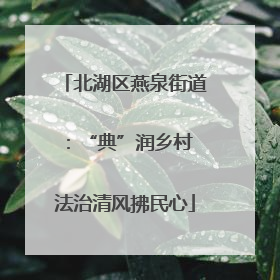 北湖区燕泉街道：“典”润乡村 法治清风拂民心