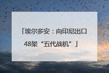 埃尔多安：向印尼出口48架“五代战机”
