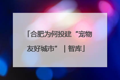 合肥为何投建“宠物友好城市”｜智库