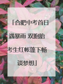 合肥中考首日遇暴雨 双胞胎考生红帐篷下畅谈梦想