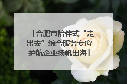 合肥市陪伴式“走出去”综合服务专窗护航企业扬帆出海