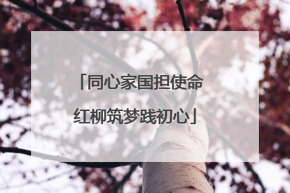 同心家国担使命 红柳筑梦践初心