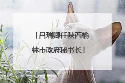 吕瑞卿任陕西榆林市政府秘书长