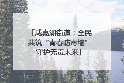 咸嘉湖街道：全民共筑“青春防毒墙” 守护无毒未来