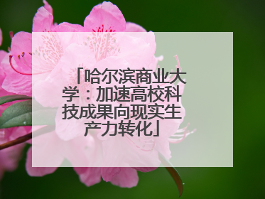 哈尔滨商业大学：加速高校科技成果向现实生产力转化