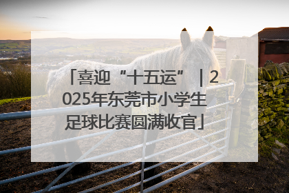 喜迎“十五运”｜2025年东莞市小学生足球比赛圆满收官