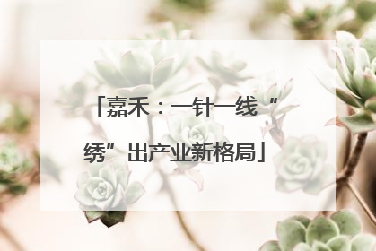 嘉禾：一针一线“绣”出产业新格局
