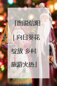 图说信阳｜向日葵花绽放 乡村旅游火热