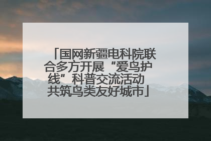 国网新疆电科院联合多方开展“爱鸟护线”科普交流活动 共筑鸟类友好城市