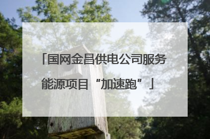 国网金昌供电公司服务能源项目“加速跑”