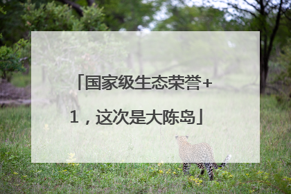 国家级生态荣誉+1，这次是大陈岛