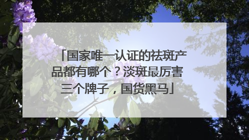 国家唯一认证的祛斑产品都有哪个？淡斑最厉害三个牌子，国货黑马