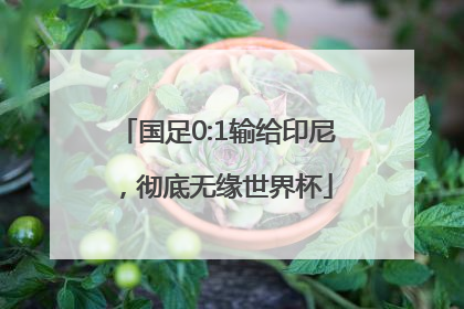 国足0:1输给印尼，彻底无缘世界杯