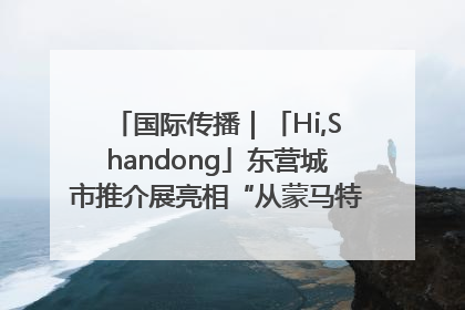国际传播｜「Hi,Shandong」东营城市推介展亮相“从蒙马特到加里波第”文化节