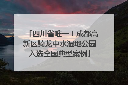 四川省唯一！成都高新区骑龙中水湿地公园入选全国典型案例