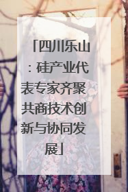 四川乐山：硅产业代表专家齐聚共商技术创新与协同发展