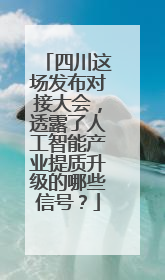 四川这场发布对接大会，透露了人工智能产业提质升级的哪些信号？