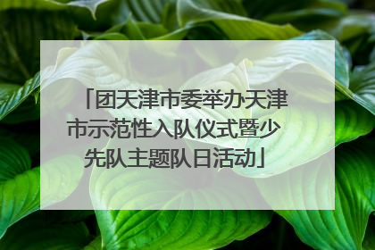 团天津市委举办天津市示范性入队仪式暨少先队主题队日活动