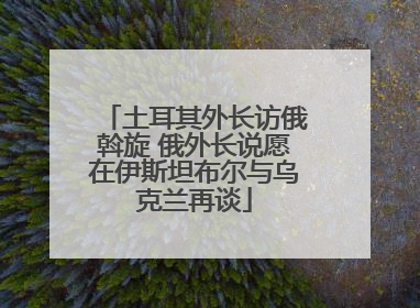 土耳其外长访俄斡旋 俄外长说愿在伊斯坦布尔与乌克兰再谈