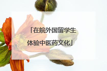 在皖外国留学生体验中医药文化