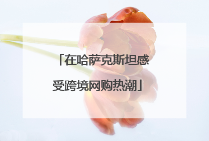 在哈萨克斯坦感受跨境网购热潮