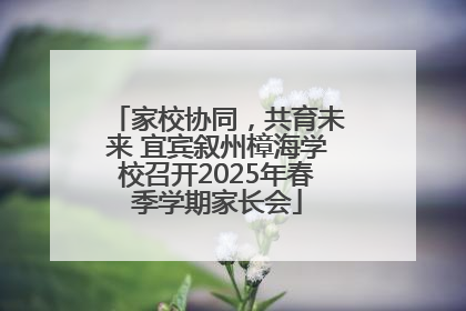 家校协同，共育未来 宜宾叙州樟海学校召开2025年春季学期家长会