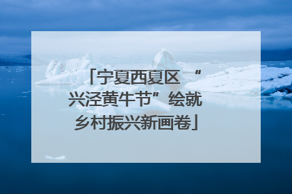 宁夏西夏区 “兴泾黄牛节”绘就乡村振兴新画卷