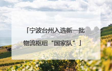 宁波台州入选新一批物流枢纽“国家队”