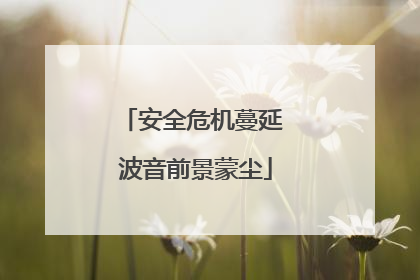 安全危机蔓延 波音前景蒙尘