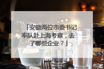 安徽两位市委书记率队赴上海考察，去了哪些企业？