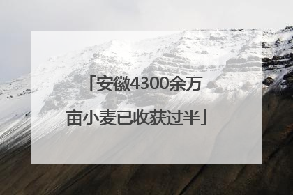 安徽4300余万亩小麦已收获过半