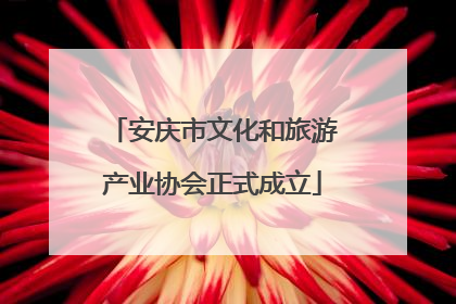 安庆市文化和旅游产业协会正式成立