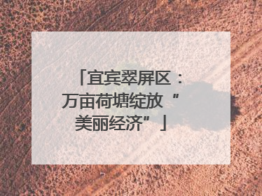 宜宾翠屏区：万亩荷塘绽放“美丽经济”