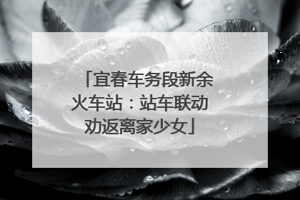 宜春车务段新余火车站：站车联动劝返离家少女