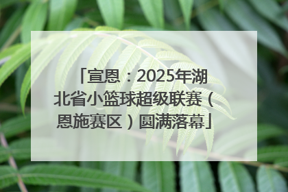 宣恩：2025年湖北省小篮球超级联赛（恩施赛区）圆满落幕