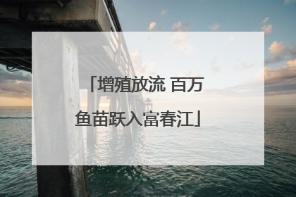 增殖放流 百万鱼苗跃入富春江