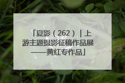 夏影（262）｜上游主题摄影征稿作品展——黄红专作品