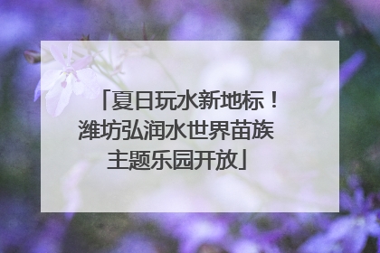 夏日玩水新地标！潍坊弘润水世界苗族主题乐园开放